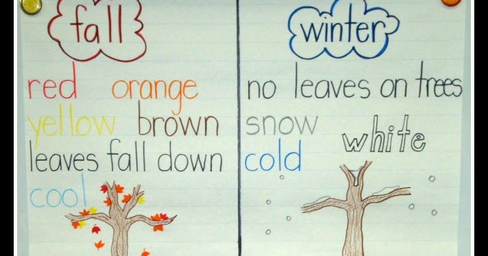 Today In First Grade: Learning About the Seasons