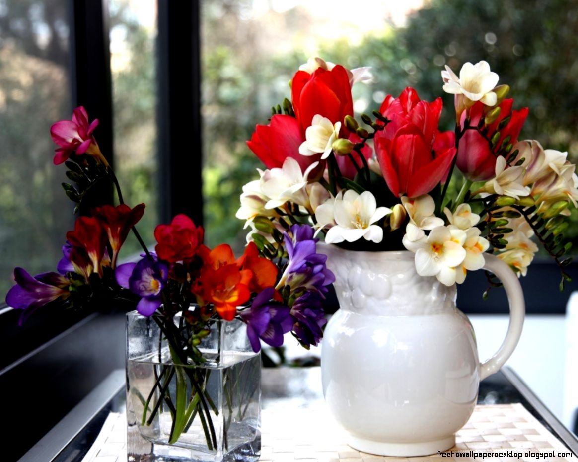 Flowers Spring Colorful Flowers White Colors Tulips Life Vase Red Flowers Spring Colorful Flowers White Colors Tulips Life Vase Red