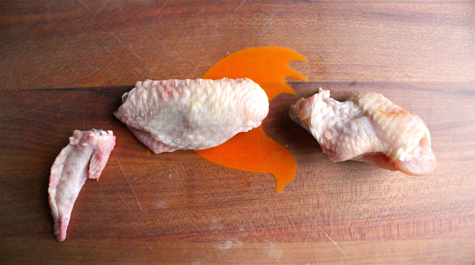 chicken wing dissection Chicken wing dissection sac by alessandra lucchetti the aim: the aim of this presentation is to show how bones, ligament and tendons and muscles work together to create movment in the body, we will also disscuss muscle paringother wise known as antagonistic muscles. chicken wing dissection Chicken wing dissection sac by alessandra lucchetti the aim: the aim of this presentation is to show how bones, ligament and tendons and muscles work together to create movment in the body, we will also disscuss muscle paringother wise known as antagonistic muscles.