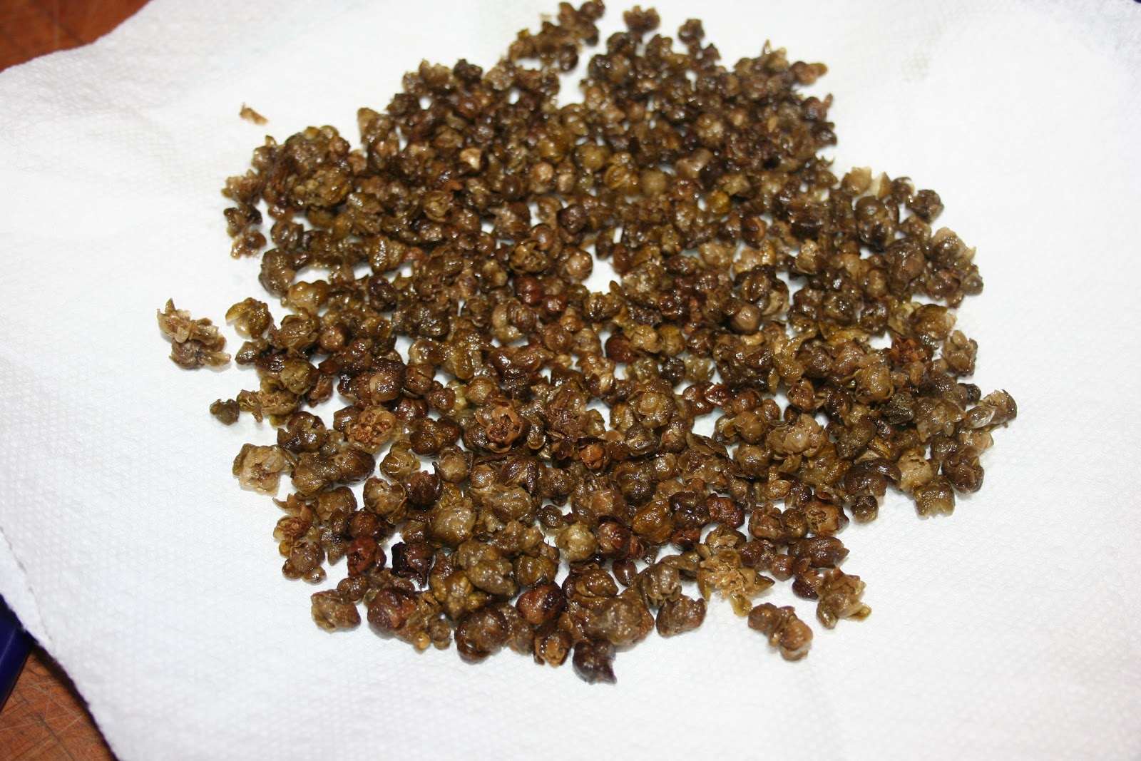 Cheers to Happy Deep Fried Capers...