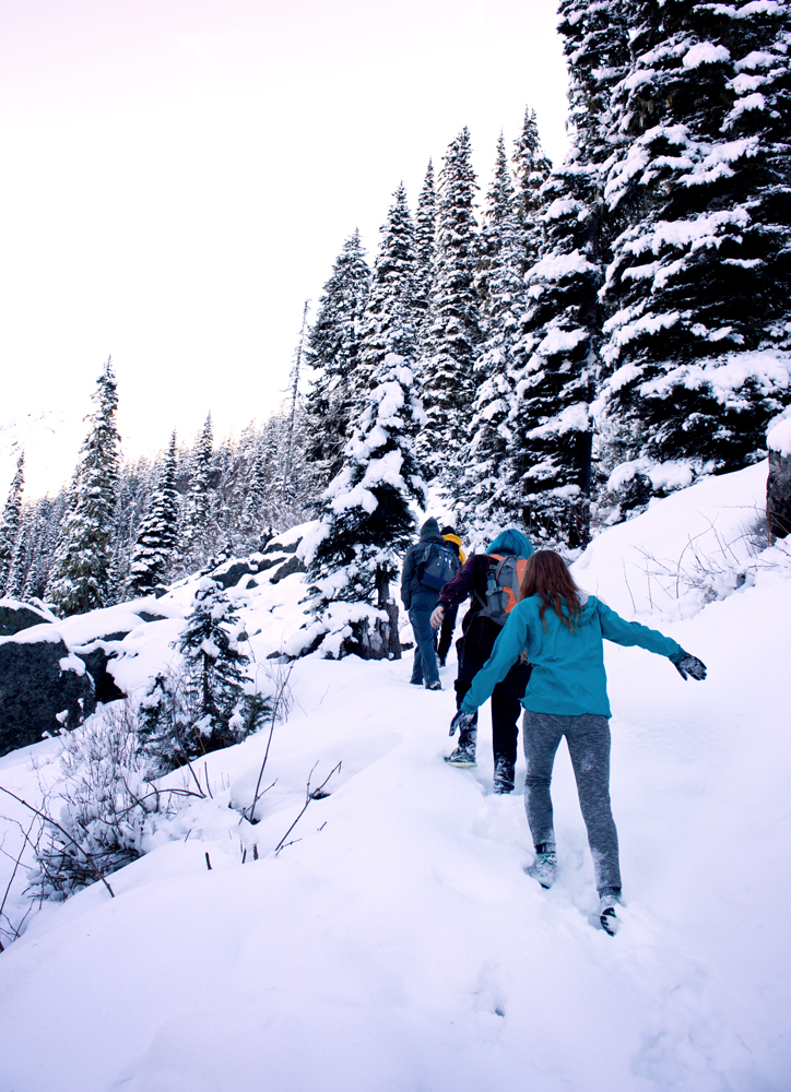 eastfly A Snowy Hike