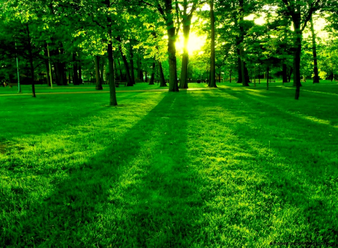 Beautiful Nature Beautiful Nature