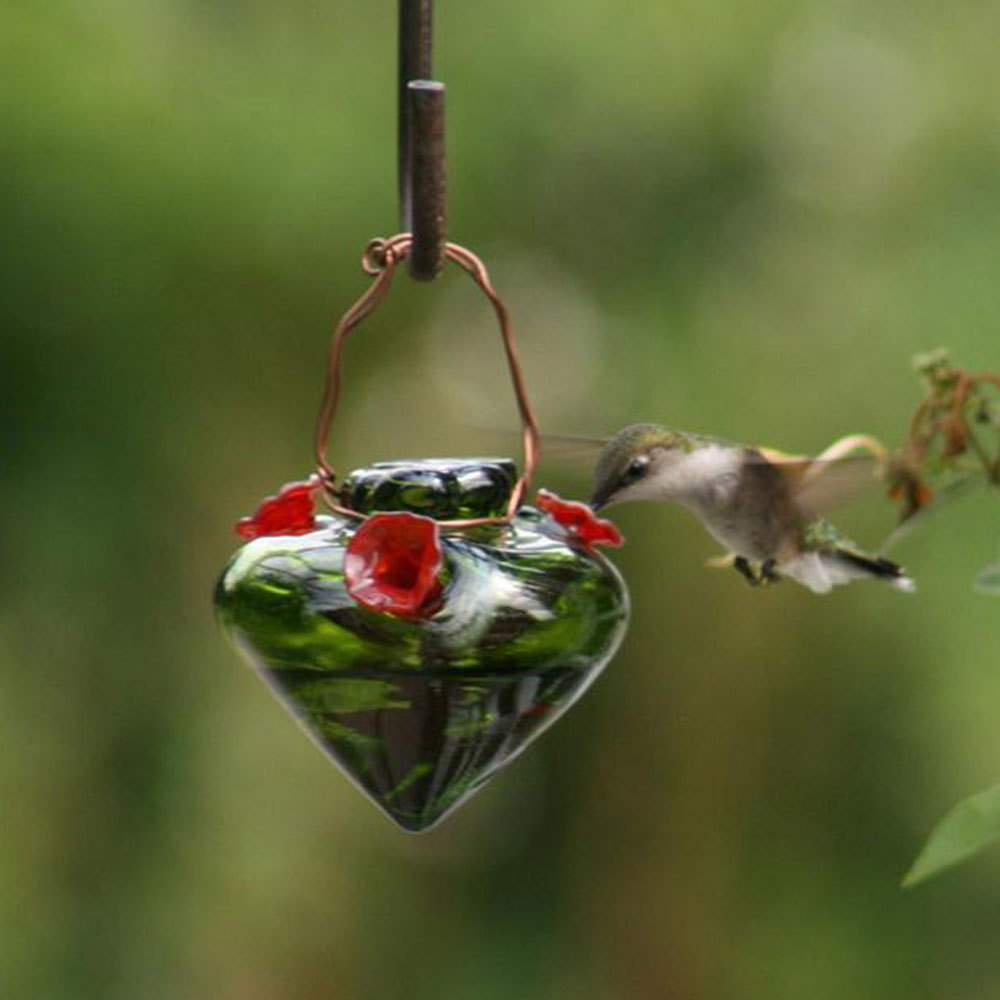 dragonsfaerieselves theunseen hummingbird feeders dragonsfaerieselves theunseen hummingbird feeders