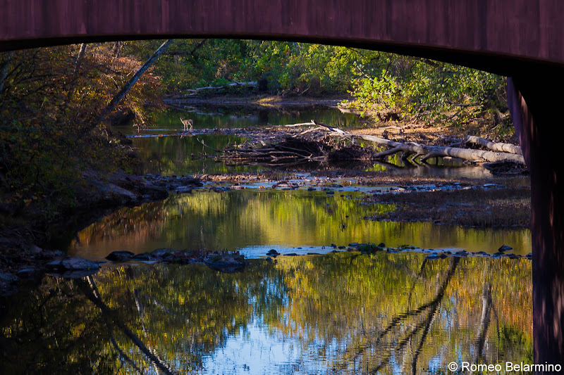 Deer Stone Bridge Loop Trail Manassas National Battlefield Park