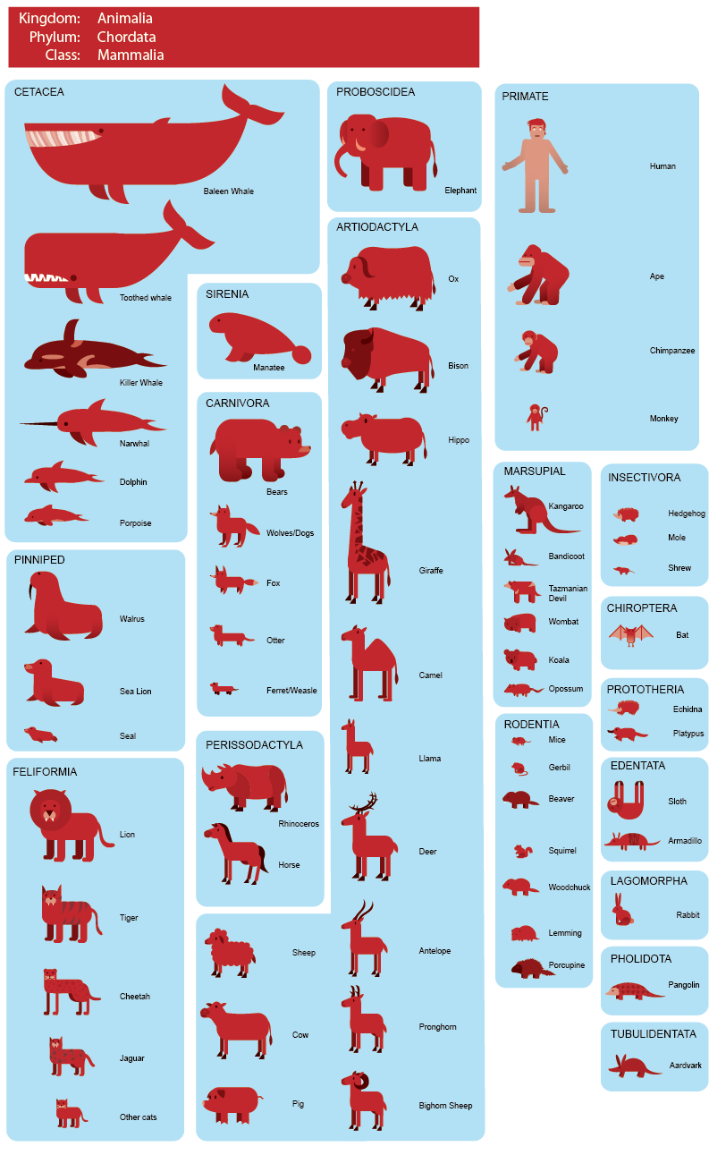 julianhector who eats who a food web trrr chart