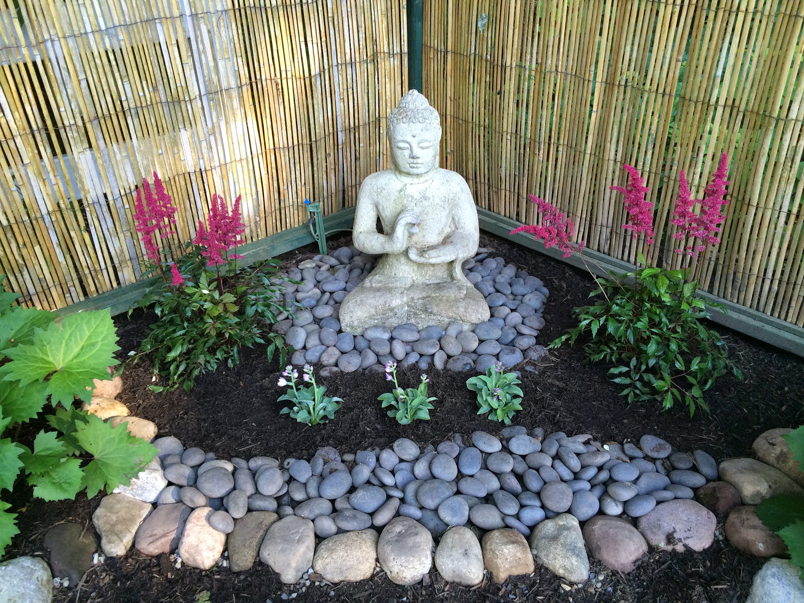 My Zen Garden Buddha and the Dunce