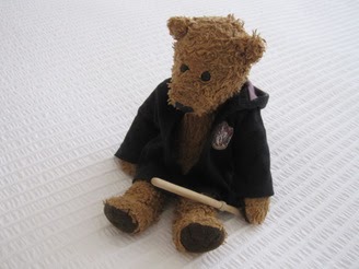harry potter teddy bear outfit