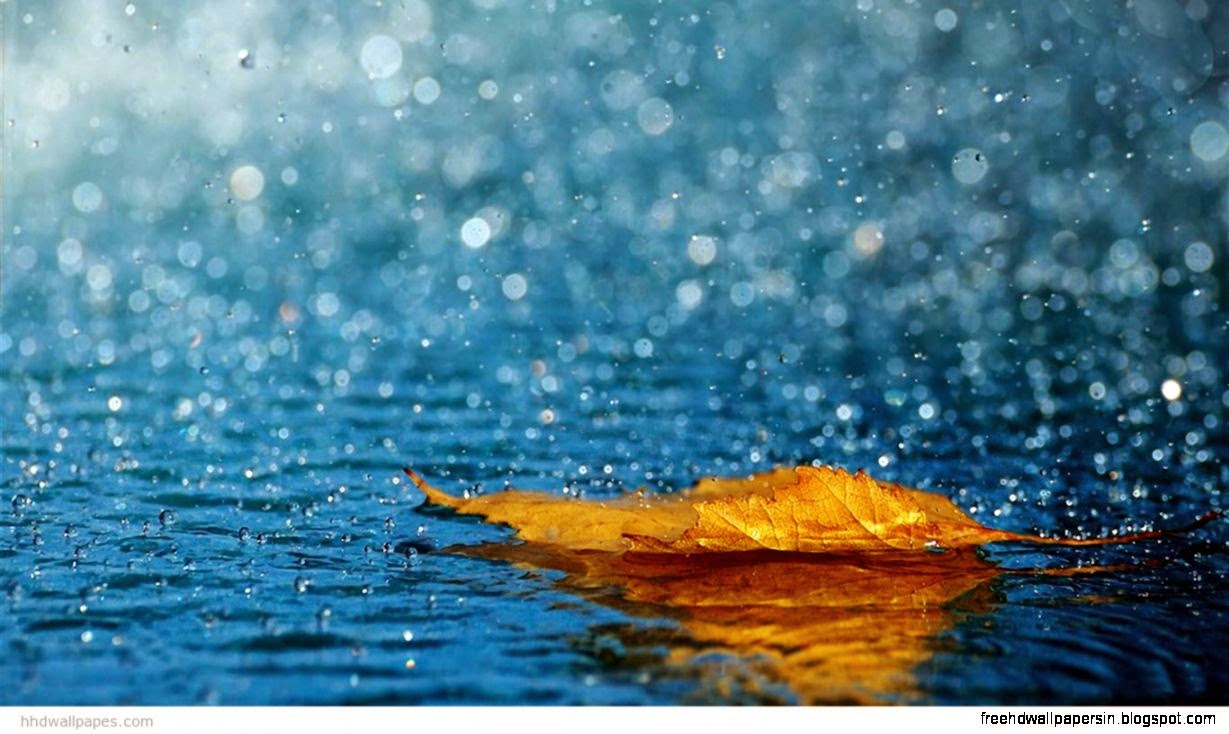 1366x768 HD Wallpapers HD Wallpapers Fit 1366x768 HD Wallpapers HD Wallpapers Fit