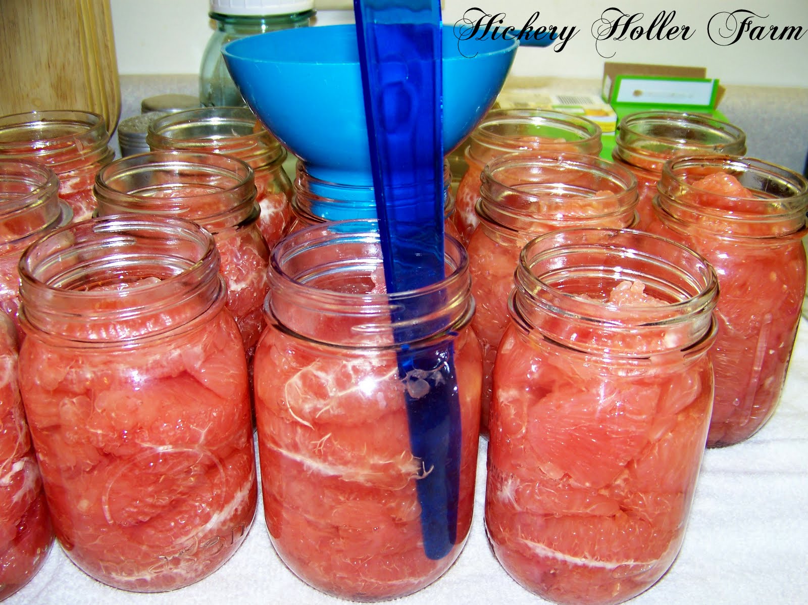 Hickery Holler Farm Canning Grapefruit