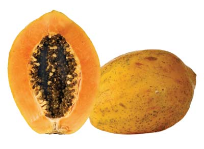 Ripe pawpaw flesh, with skin