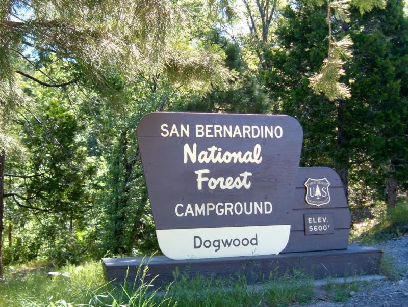 Camping in & Around LAKE ARROWHEAD