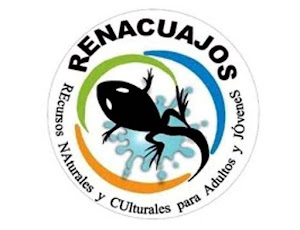 Asociación RENACUAJOS