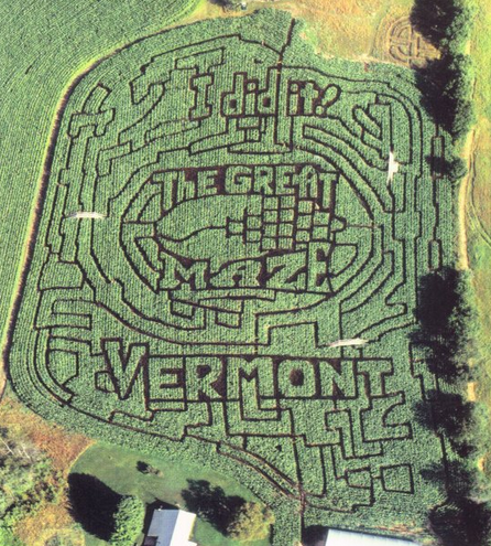 Maze