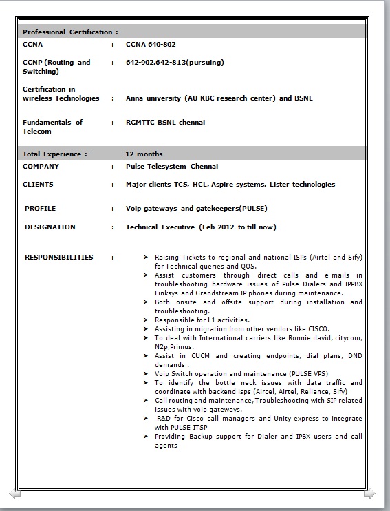 resume format for it hardware networking