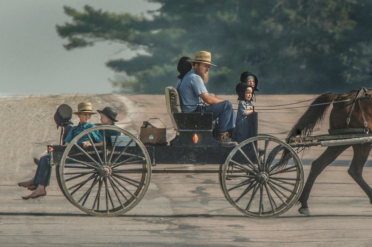 Bailey's Buddy Nostalgic Amish Life near Kalona, Iowa Photos by Bob Kellly