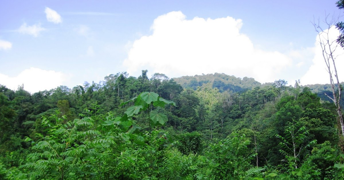 Geog 5 Lab 1G Final Projects Costa Rica Tropical Rainforests