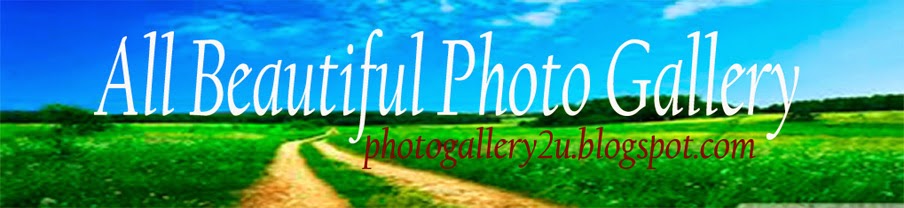 All Beautiful Photo Gallery
