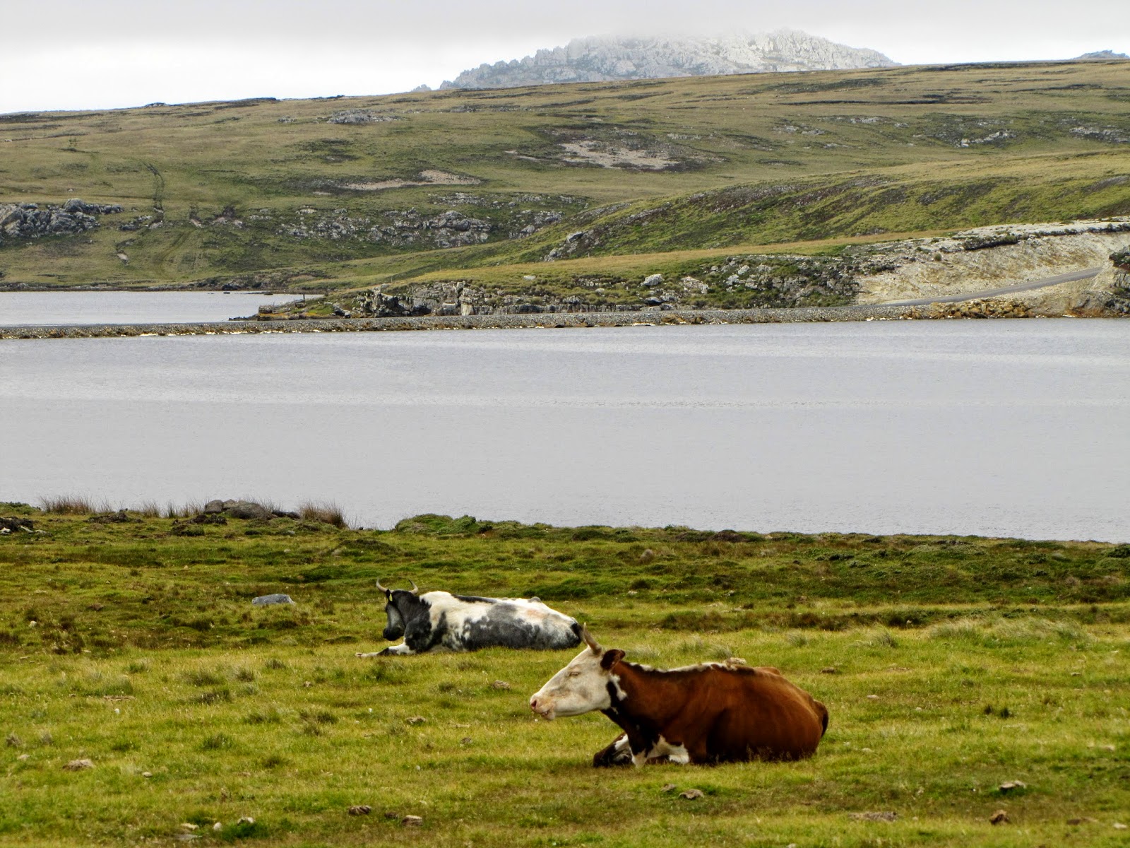 My Front Porch the falkland islands...