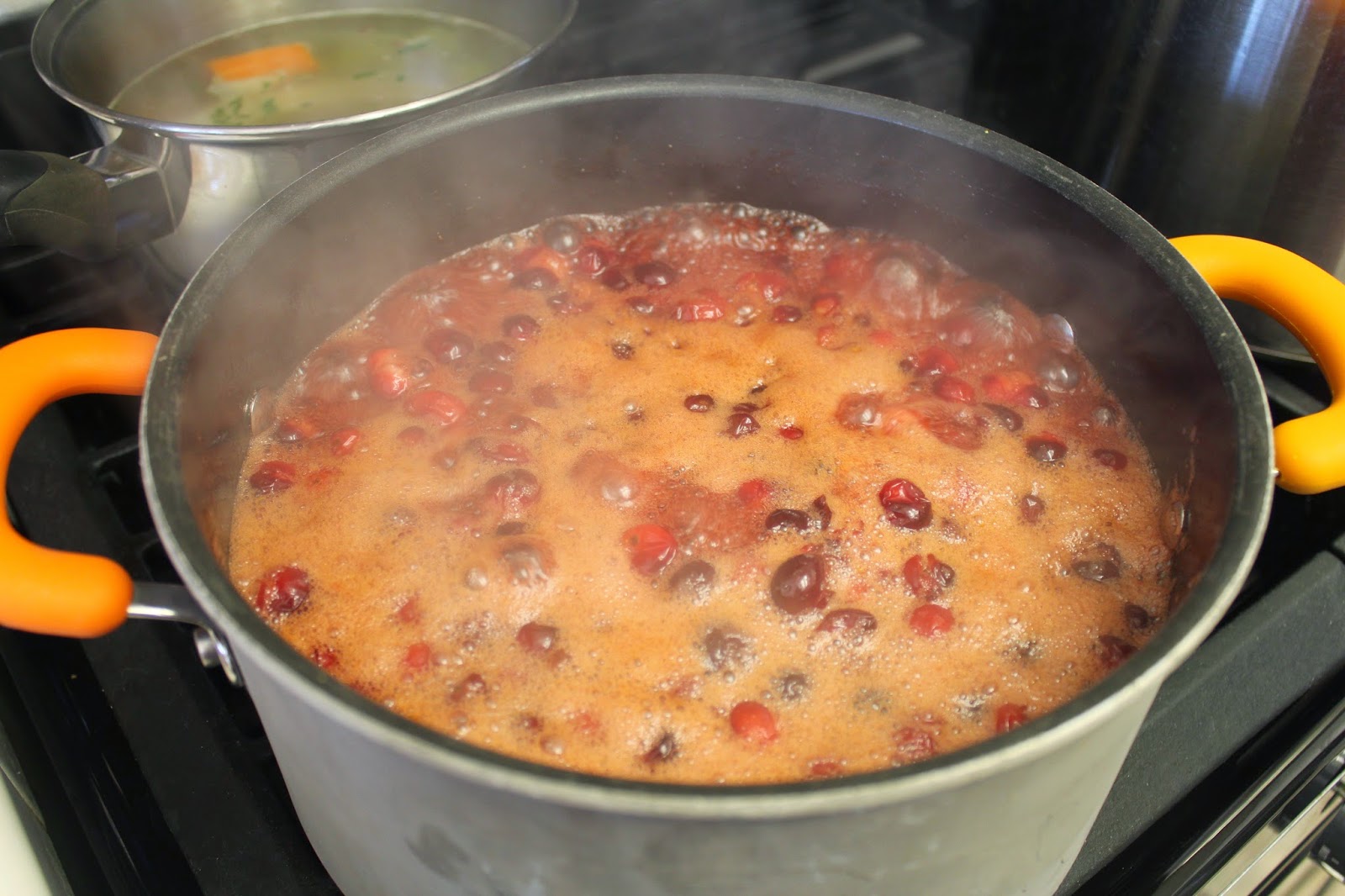 The Foodista Chronicles Pomegranate and Rosemary Cranberry Sauce