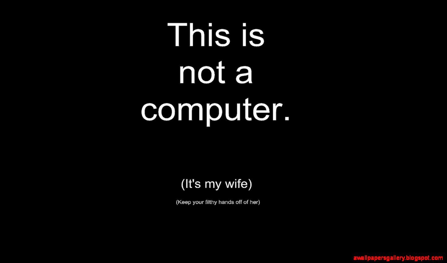 Funny Dackground Wallpaper Funny Desktop Images New Wallpapers Funny Dackground Wallpaper Funny Desktop Images New Wallpapers