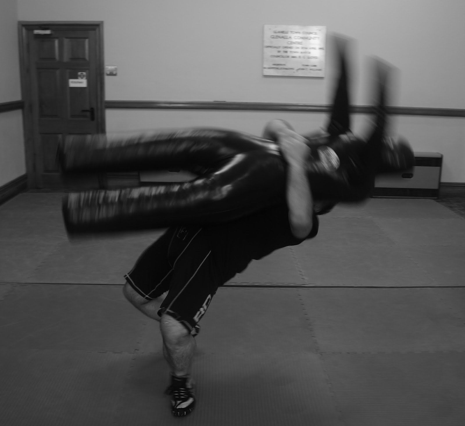 Professional wrestling picture