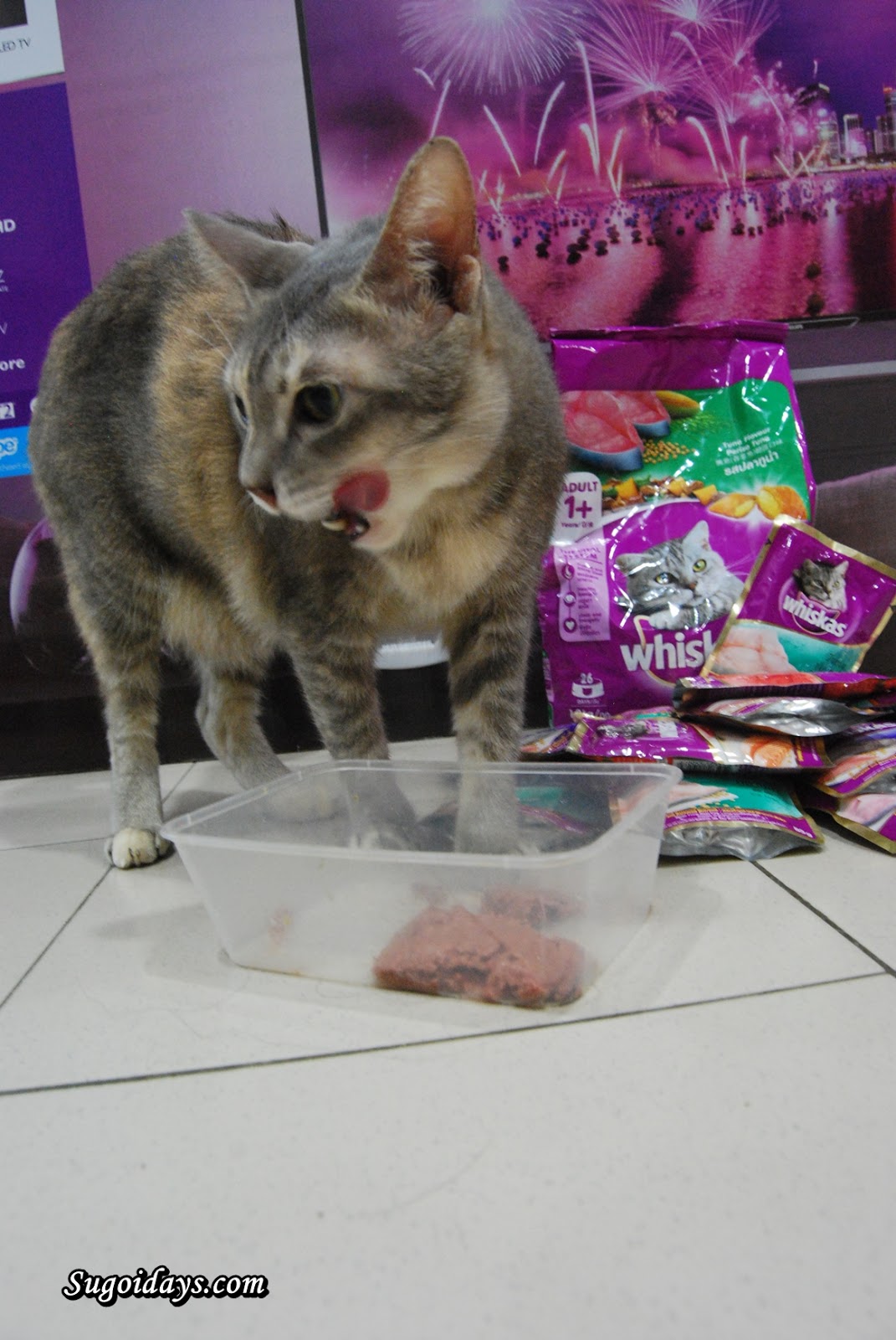 Sugoi Days Why Mix Feed Your Cats by Whiskas