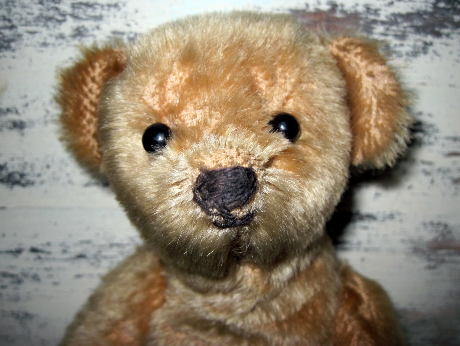 Tracy's Toys (and Some Other Stuff): Big Nosed Antique American Bear