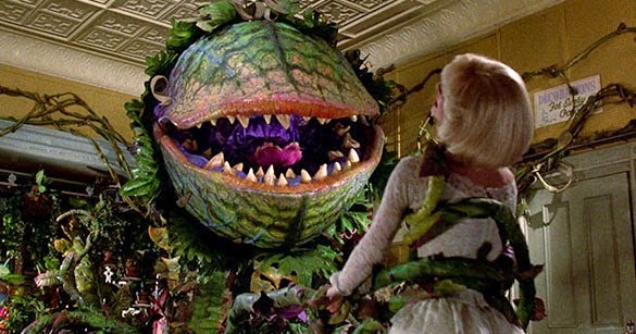 F This Movie 9 Evil Plants In Horror Movies