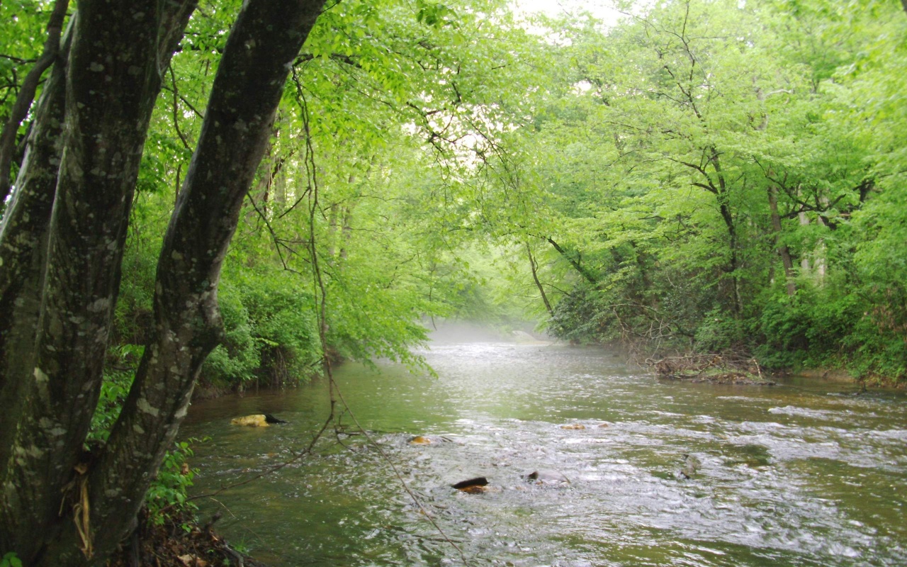 http://3.bp.blogspot.com/-FoMTUBDfIQo/UD8wsZhOmhI/AAAAAAAADqo/-FRb6f1vWUE/s1600/mitchell-river-nc-wallpapers_23228_1280x800.jpg