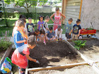 Preparing the soil for planting.