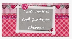 Craft your passion Challenge