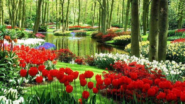 dynamic views beautiful spring