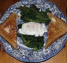 Poached egg with Good King Henry shoots