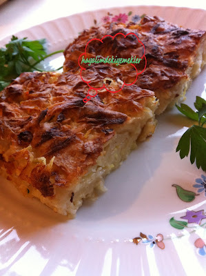 Yesil Kabak Boregi Tarifi,Yesil Kabak Boregi nasil yapilir