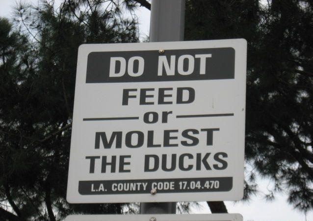 funny+sign+ducks.jpg