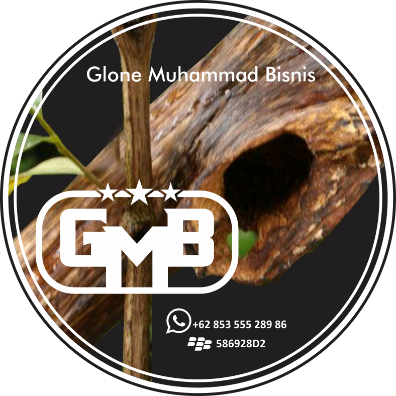 Glone Muhammad Bisnis