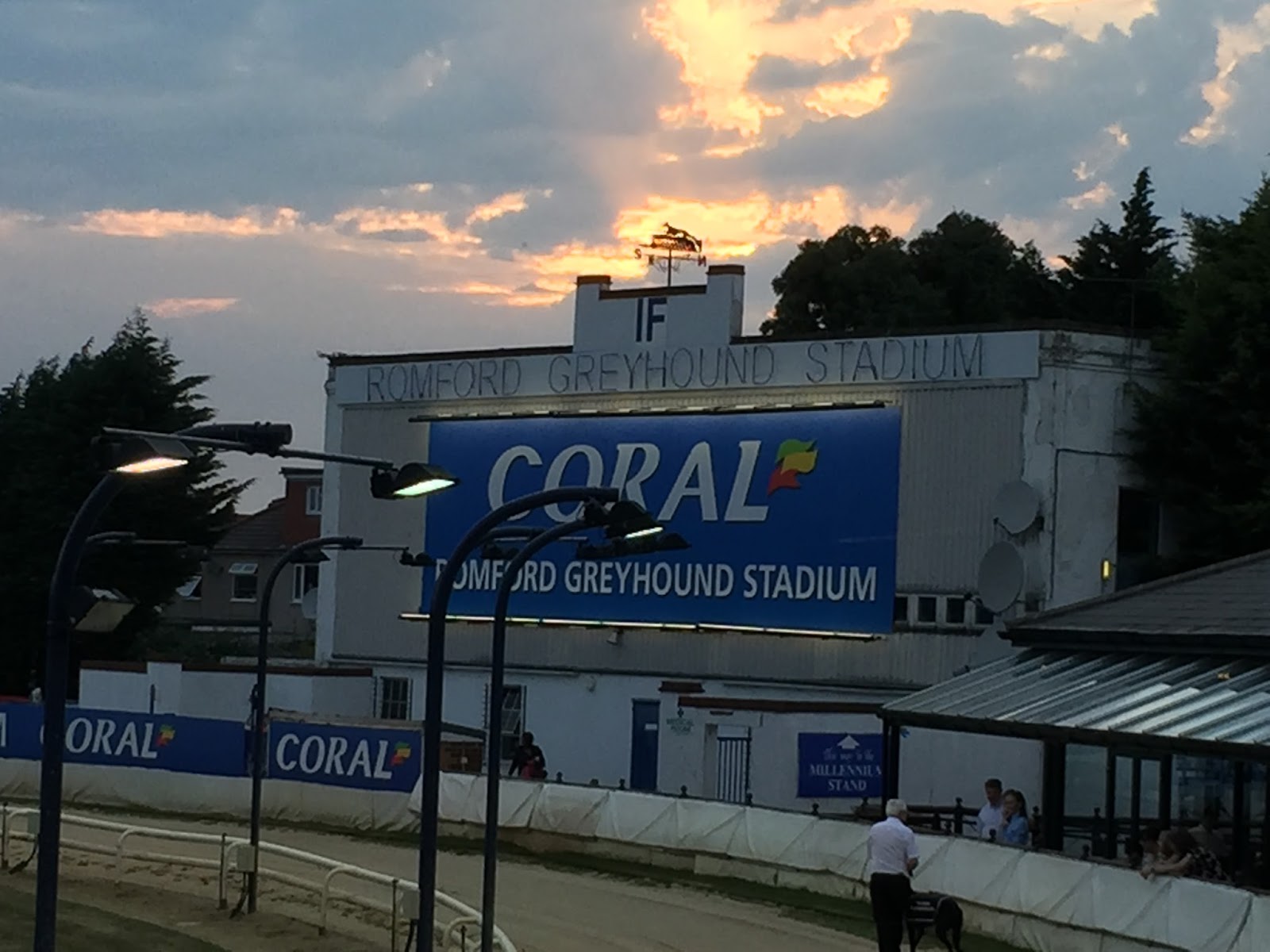 overyourhead Romford Dogs...