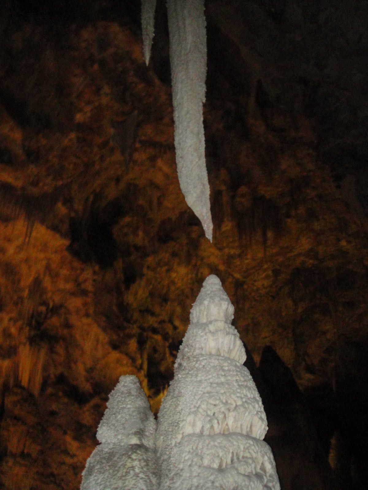 Intentando Ense 241 Ar Mates En New Mexico Carlsbad Y Llegada