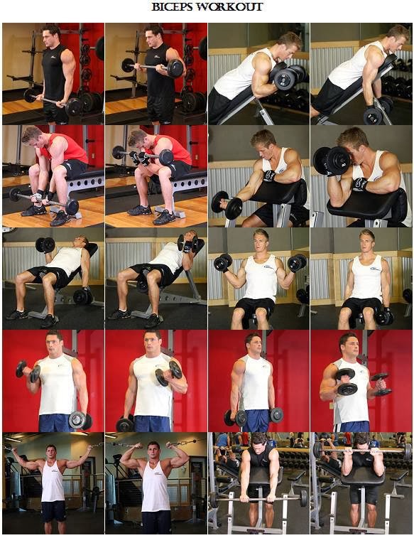TOP 10 BICEPS EXERCISES!! Try This! Useful Information