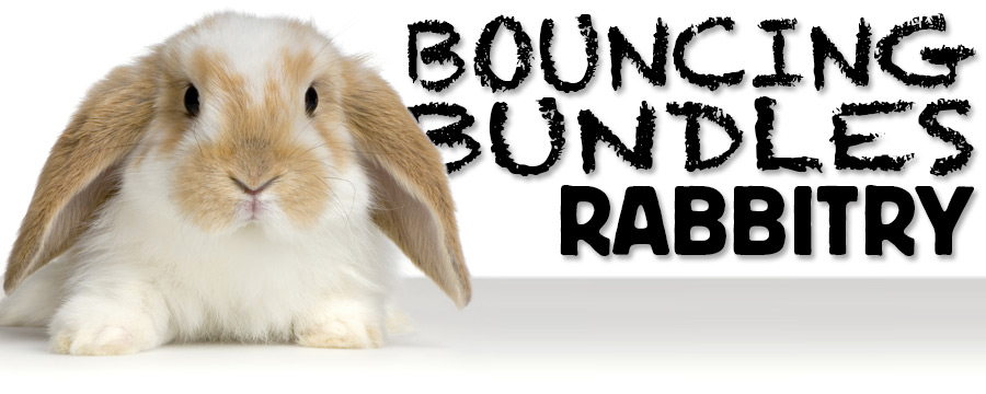 Bouncing Bundles Rabbitry
