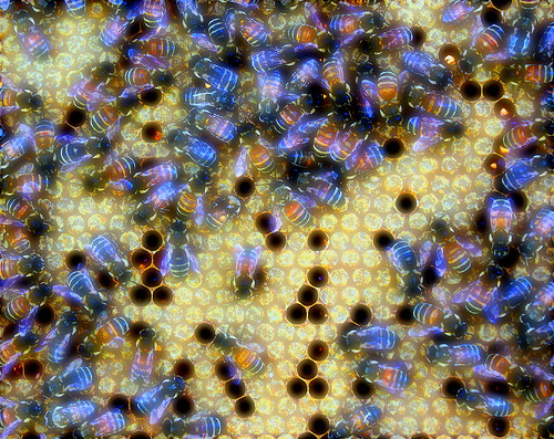 Bee Art