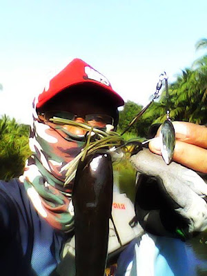 Umpan Hinomiya spinnerbaits