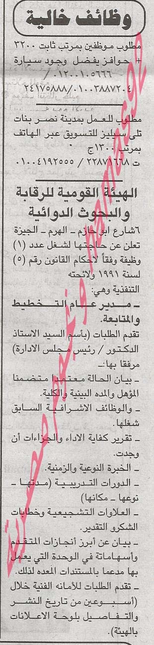 وظائف جريدة الأهرام الجمعة 1/11/2013 161
