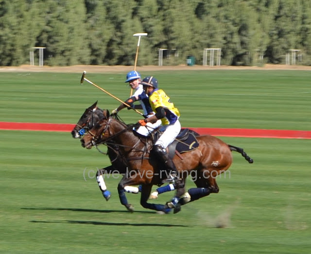 Ponies leave dust behind them as they race by