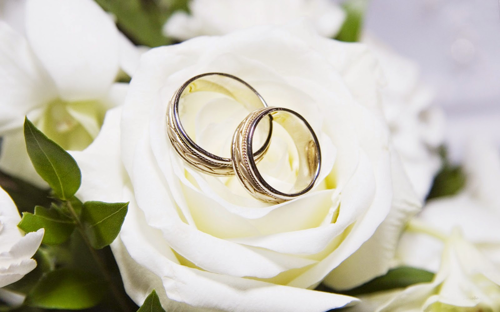 Wellcome To Bollywood HD Wallpapers: Happy Wedding ...