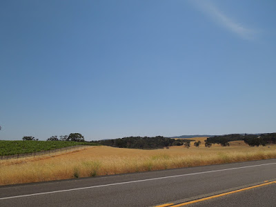 Field, Oaks, Vineyard, on Hwy 46 W, Paso Robles, © B. Radisavljevic