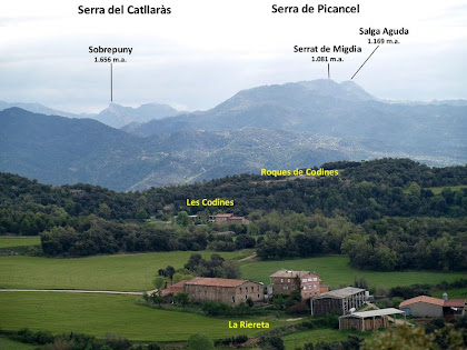 Les masies de La Riereta i Codines amb les Serres del Catllaràs i Picancel al seu darrere, des del dipòsit de l'Hostal del Gran Nom Les masies de La Riereta i Codines amb les Serres del Catllaràs i Picancel al seu darrere, des del dipòsit de l'Hostal del Gran Nom