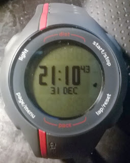 garmin forerunner 110 strava