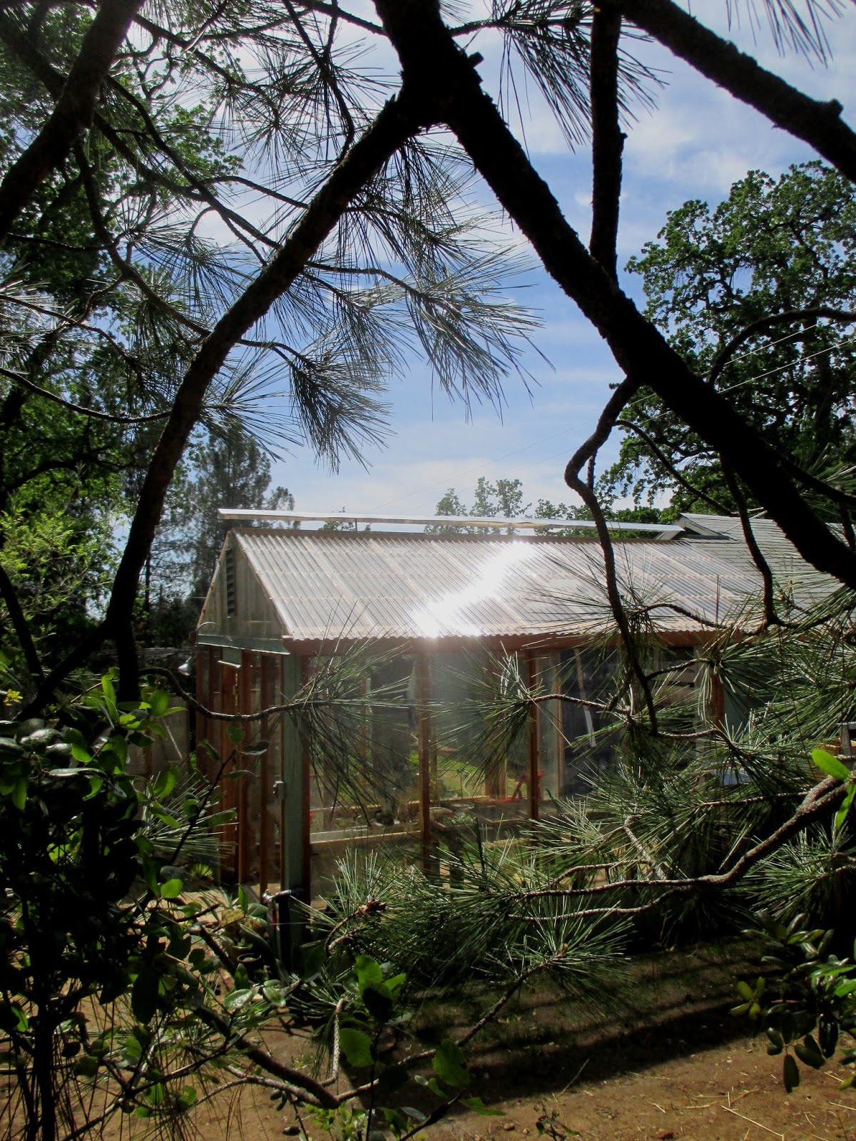 triangle greenhouse (ridge vent and gutters)