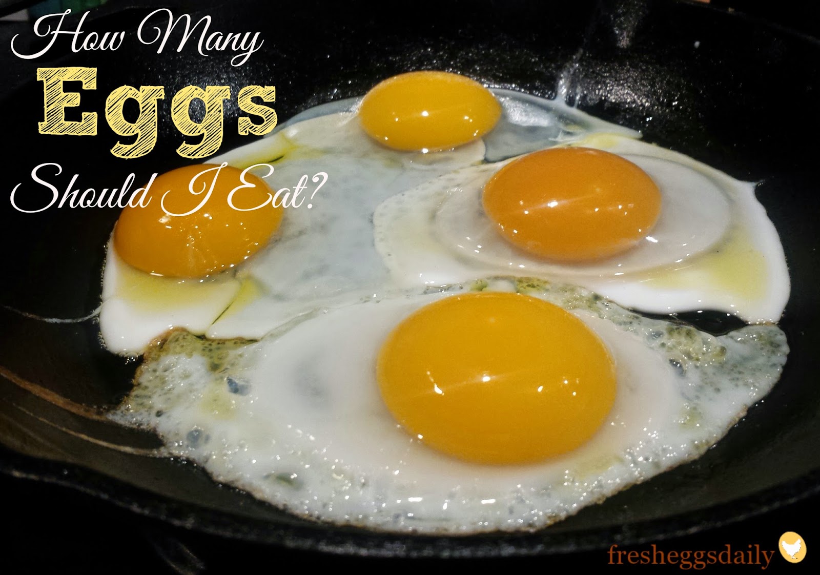 How Many Eggs Should I Eat a Day? A Week? Fresh Eggs Daily®